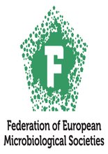 FEMS Summer School