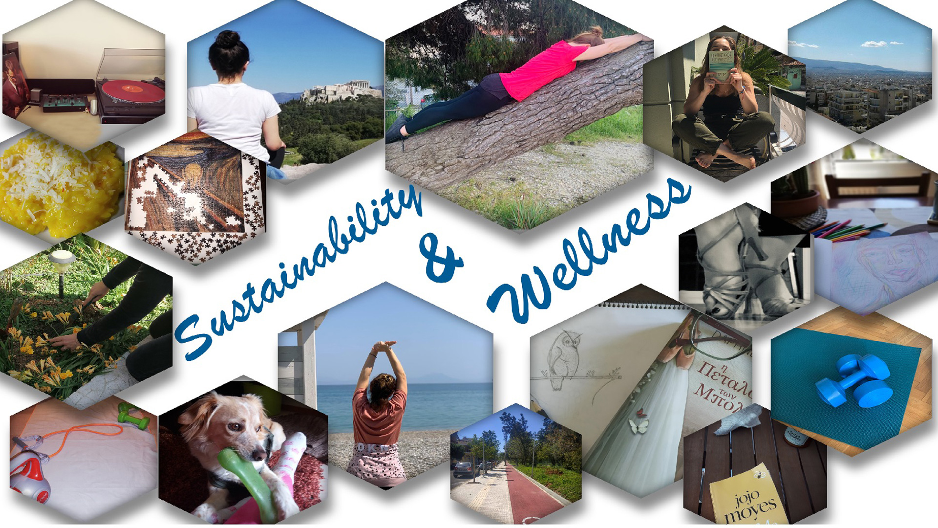 Sustainability and Wellness